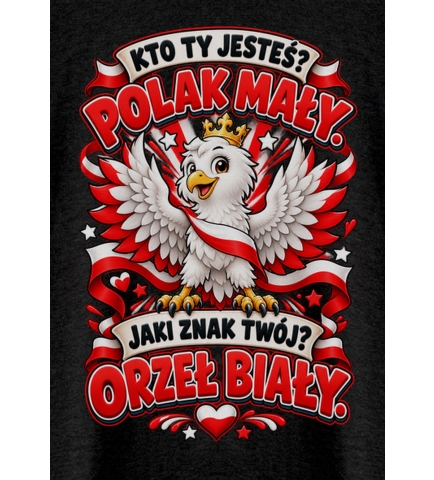 Koszulka dziecięca Patriotyczna Kto Ty Jesteś Polak Mały 2